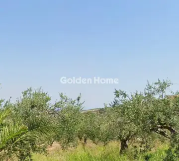Οικιστικό 4400τ.μ. προς πώληση φωτογραφία 1