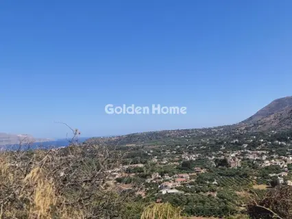 Οικιστικό 4001τ.μ. προς πώληση φωτογραφία 4