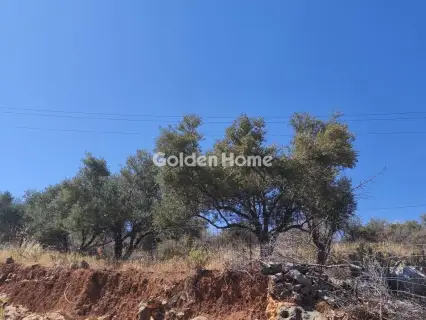 Οικιστικό 4001τ.μ. προς πώληση φωτογραφία 1