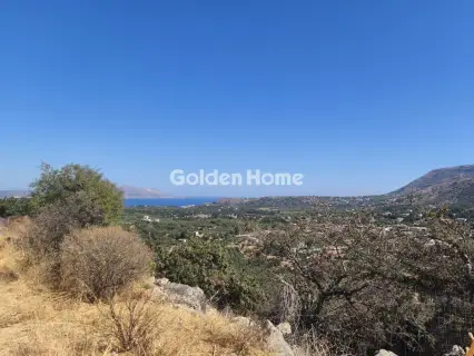 Οικιστικό 4001τ.μ. προς πώληση φωτογραφία 7