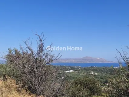 Οικιστικό 4001τ.μ. προς πώληση φωτογραφία 3