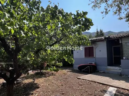 Οικιστικό 794τ.μ. προς πώληση φωτογραφία 16