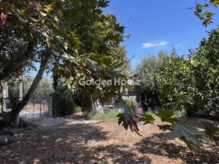 Οικιστικό 794τ.μ. προς πώληση φωτογραφία 3