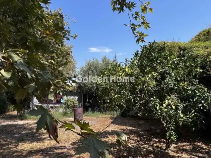 Οικιστικό 794τ.μ. προς πώληση φωτογραφία 8