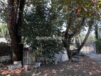 Οικιστικό 794τ.μ. προς πώληση φωτογραφία 19