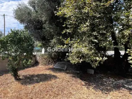 Οικιστικό 794τ.μ. προς πώληση φωτογραφία 12