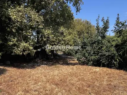 Οικιστικό 794τ.μ. προς πώληση φωτογραφία 13