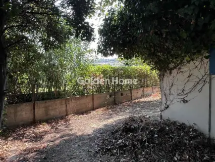 Οικιστικό 794τ.μ. προς πώληση φωτογραφία 7
