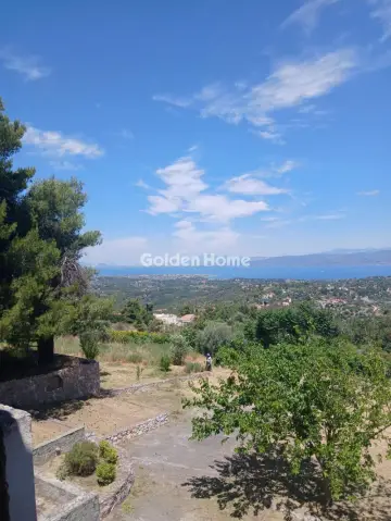 Κτίριο 300τ.μ. προς πώληση φωτογραφία 3
