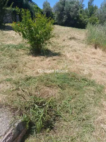Κτίριο 300τ.μ. προς πώληση φωτογραφία 6