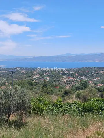 Κτίριο 300τ.μ. προς πώληση φωτογραφία 8