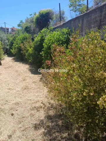 Κτίριο 300τ.μ. προς πώληση φωτογραφία 12