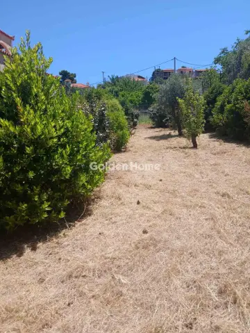 Κτίριο 300τ.μ. προς πώληση φωτογραφία 13