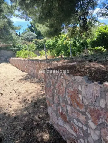 Κτίριο 300τ.μ. προς πώληση φωτογραφία 26