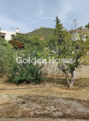 House 120m<sup>2</sup> for rent photo 13