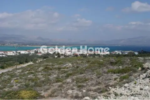 Επαγγελ. Οικόπεδο 95000τ.μ. προς πώληση φωτογραφία 5598007