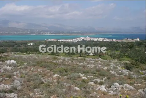 Επαγγελ. Οικόπεδο 95000τ.μ. προς πώληση φωτογραφία 5598009