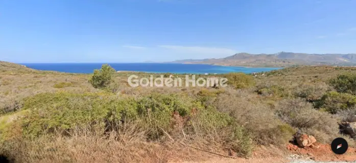 Επαγγελ. Οικόπεδο 95000τ.μ. προς πώληση φωτογραφία 1