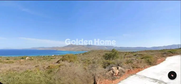 Επαγγελ. Οικόπεδο 95000τ.μ. προς πώληση φωτογραφία 4