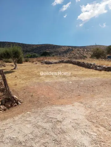 Αγροτεμάχιο 275τ.μ. προς πώληση φωτογραφία 2