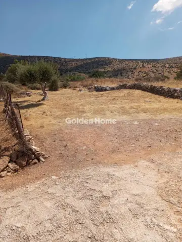 Αγροτεμάχιο 275τ.μ. προς πώληση φωτογραφία 4