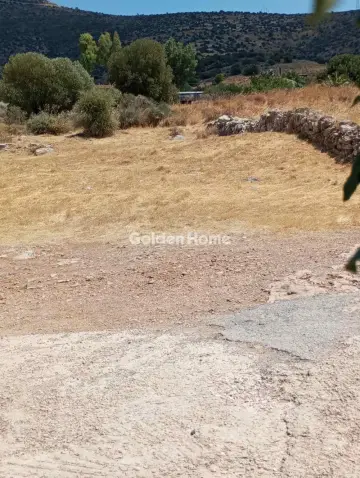 Αγροτεμάχιο 275τ.μ. προς πώληση φωτογραφία 7