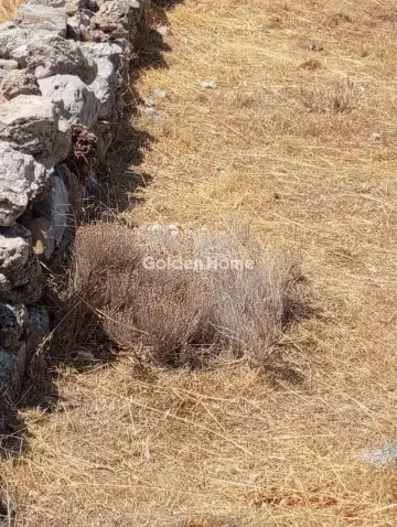 Αγροτεμάχιο 275τ.μ. προς πώληση φωτογραφία 8