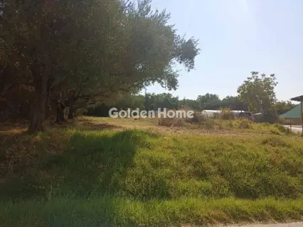 Οικιστικό 1166τ.μ. προς πώληση φωτογραφία 5593798