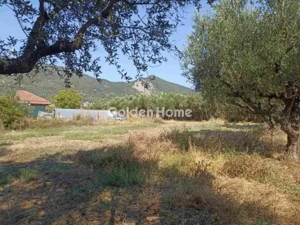 Οικιστικό 1166τ.μ. προς πώληση φωτογραφία 5593799