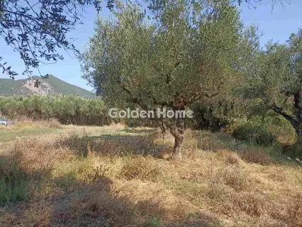 Οικιστικό 1166τ.μ. προς πώληση φωτογραφία 5593800