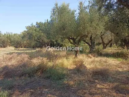 Οικιστικό 1166τ.μ. προς πώληση φωτογραφία 5593805