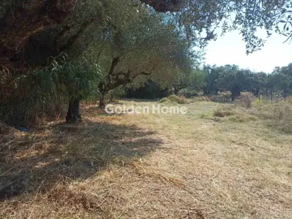 Οικιστικό 1166τ.μ. προς πώληση φωτογραφία 5593808