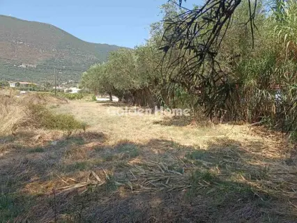 Οικιστικό 1166τ.μ. προς πώληση φωτογραφία 5593809