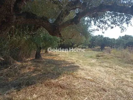 Οικιστικό 1166τ.μ. προς πώληση φωτογραφία 5593814