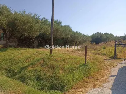 Οικιστικό 1166τ.μ. προς πώληση φωτογραφία 5593817