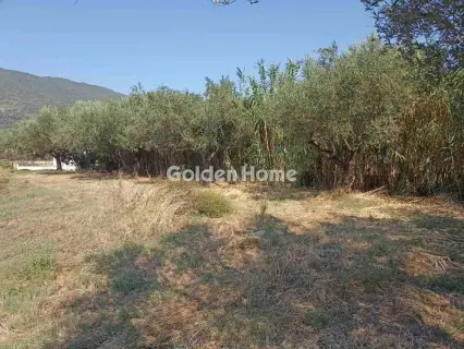 Οικιστικό 1166τ.μ. προς πώληση φωτογραφία 5593821