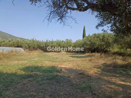 Οικιστικό 1166τ.μ. προς πώληση φωτογραφία 5593822