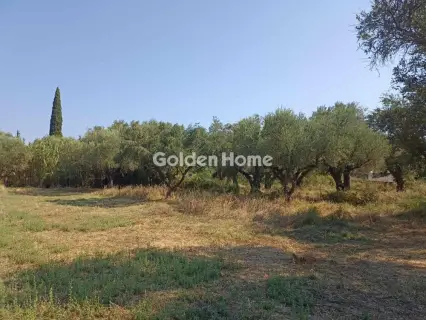 Οικιστικό 1166τ.μ. προς πώληση φωτογραφία 5593826