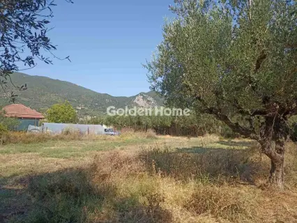 Οικιστικό 1166τ.μ. προς πώληση φωτογραφία 5593827