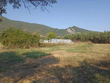 Οικιστικό 1166τ.μ. προς πώληση φωτογραφία 5593793