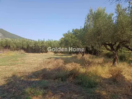 Οικιστικό 1166τ.μ. προς πώληση φωτογραφία 5593828