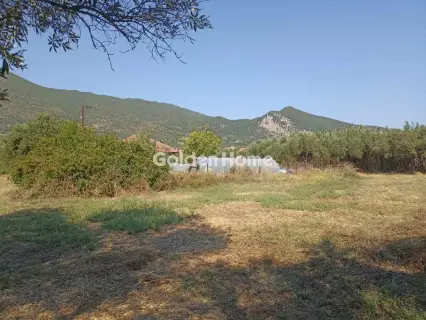 Οικιστικό 1166τ.μ. προς πώληση φωτογραφία 5593830