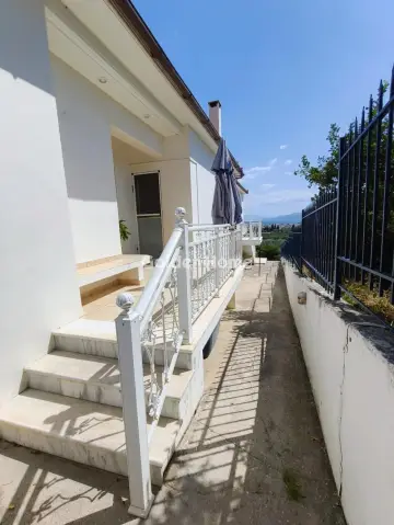 House 255m<sup>2</sup> for sale photo 22