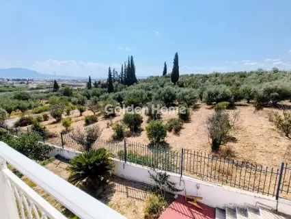 House 255m<sup>2</sup> for sale photo 17