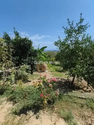 House 255m<sup>2</sup> for sale photo 5