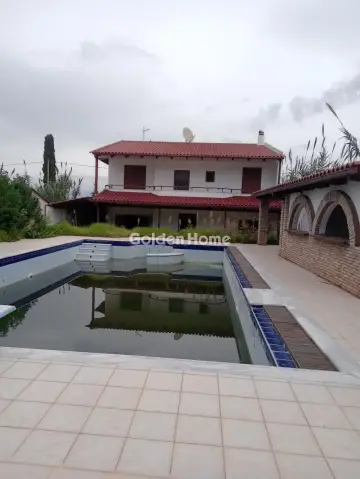 Μονοκατοικία 283τ.μ. προς πώληση φωτογραφία 1