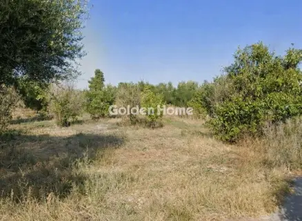 Οικιστικό 1203τ.μ. προς πώληση φωτογραφία 5614218