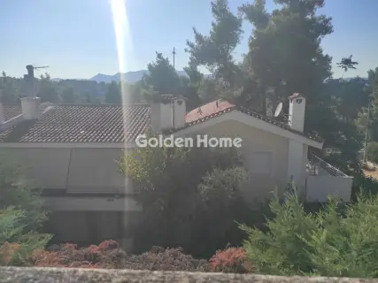 Μονοκατοικία 386τ.μ. προς πώληση φωτογραφία 5594816