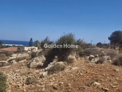 Οικιστικό 5000τ.μ. προς πώληση φωτογραφία 1