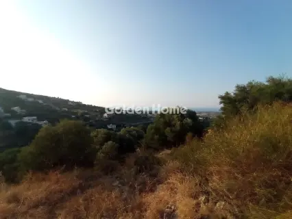 Οικιστικό 2650τ.μ. προς πώληση φωτογραφία 5596983